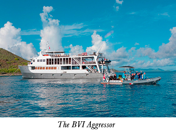 The BVI Aggressor