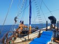 The crew scampering up the rigging to unfurl the sails.