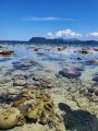 Bangka Low Tide