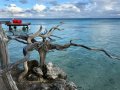 Haivaki Lodge & Pearl Farm