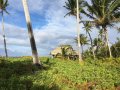 Raimiti Cottages