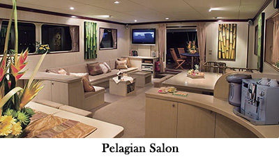 MV Pelagian, Salon