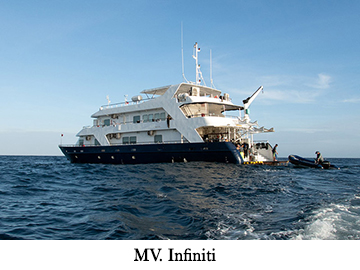 MV. Infiniti