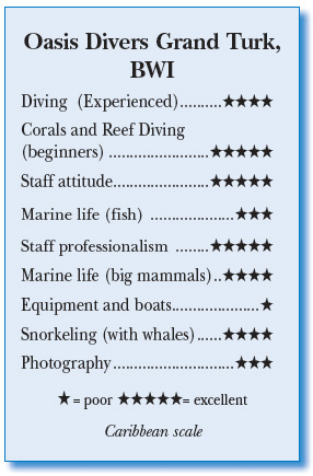 Oasis Divers Grand Turk, BWI - Rating