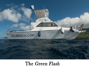 The Green Flash