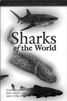 Sharks of the World