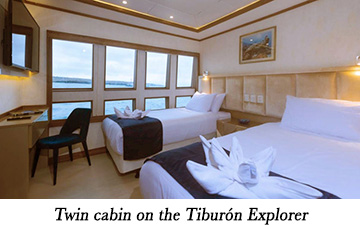 Twin cabin on the Tiburn Explorer