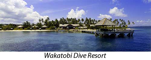 Wakatobi Dive Resort